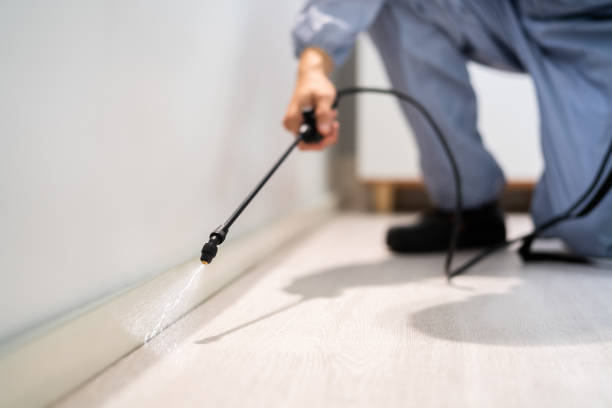 Rodent Entry Point Assessment in Pharr