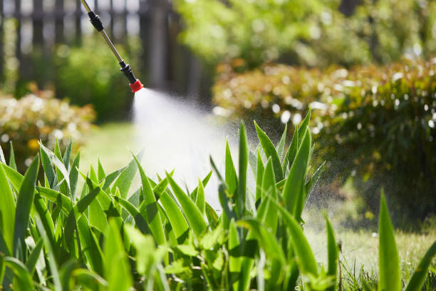 Tamper-Resistant Bait Stations for Rodents in Pharr