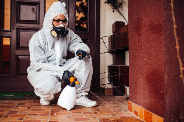 Attic and Crawl Space Rodent Treatment in Pharr